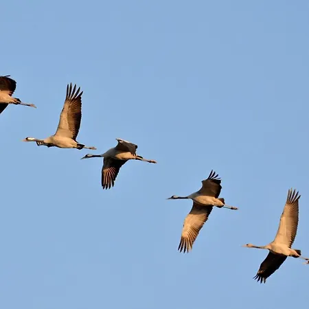 Ferienapartment Duenensand Direkt Am Kurstrand